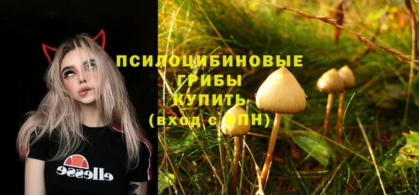 ешки Алзамай