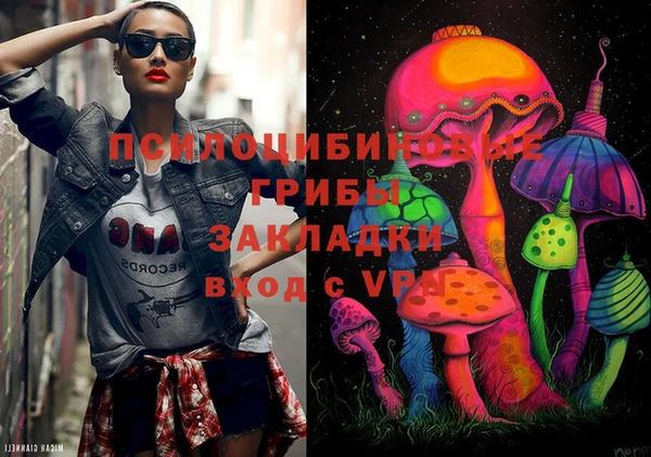 ешки Алзамай