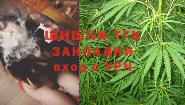 шишки Алексеевка